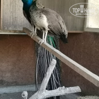 фото из отзыва ID 2283074