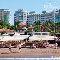 фото из отзыва ID 2283158