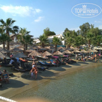 фото из отзыва ID 2283144