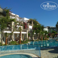 фото из отзыва ID 2283144