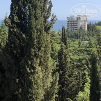 фото из отзыва ID 2283230