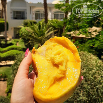 фото из отзыва ID 2283328