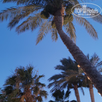 фото из отзыва ID 2283481