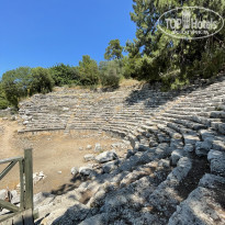 фото из отзыва ID 2283476