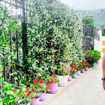 фото из отзыва ID 2283644