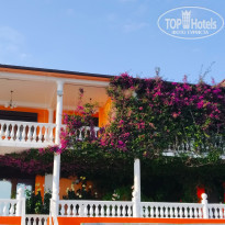 фото из отзыва ID 2283644