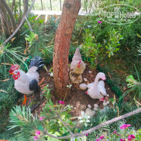 фото из отзыва ID 2283644