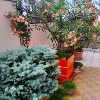 фото из отзыва ID 2283644