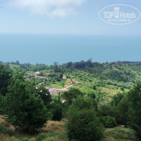 фото из отзыва ID 2283644