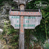 фото из отзыва ID 2283644