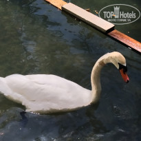 фото из отзыва ID 2283644