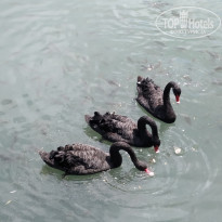 фото из отзыва ID 2283644