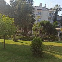 фото из отзыва ID 2283707