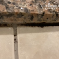 фото из отзыва ID 2282937