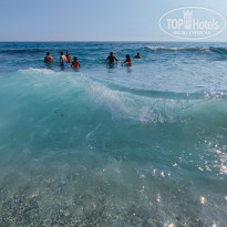 фото из отзыва ID 2283758