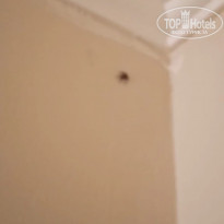 фото из отзыва ID 2283920