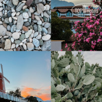 фото из отзыва ID 2283953