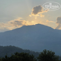 фото из отзыва ID 2283953