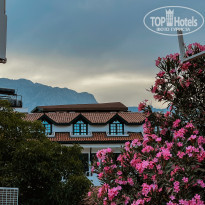 фото из отзыва ID 2283953