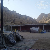 фото из отзыва ID 2284170