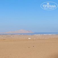 фото из отзыва ID 2284170