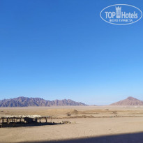 фото из отзыва ID 2284170