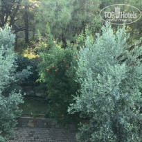 фото из отзыва ID 2284207