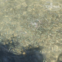 фото из отзыва ID 2284259