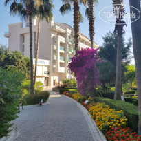 фото из отзыва ID 2284369