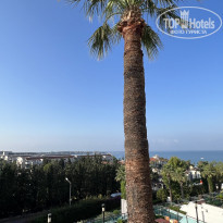 фото из отзыва ID 2284407