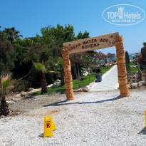 фото из отзыва ID 2284433