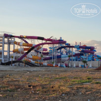 фото из отзыва ID 2284433