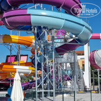 фото из отзыва ID 2284433