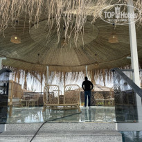 фото из отзыва ID 2284433