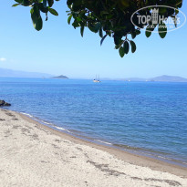 фото из отзыва ID 2284514