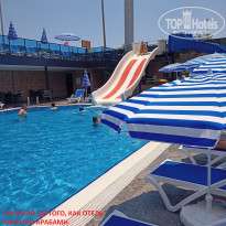 фото из отзыва ID 2284593