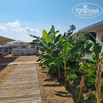 фото из отзыва ID 2284614