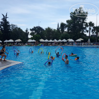 фото из отзыва ID 2284615