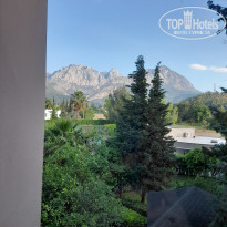 фото из отзыва ID 2284615