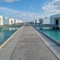 фото из отзыва ID 2284675