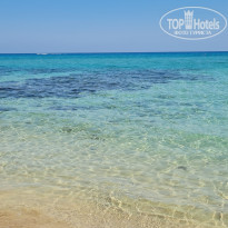 фото из отзыва ID 2284796