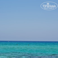 фото из отзыва ID 2284796