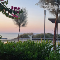 фото из отзыва ID 2284796