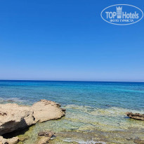 фото из отзыва ID 2284796