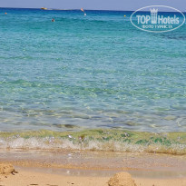 фото из отзыва ID 2284796