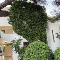 фото из отзыва ID 2284390