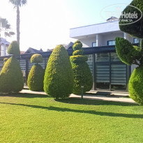 фото из отзыва ID 2284890