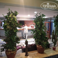 фото из отзыва ID 2284889