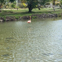 фото из отзыва ID 2284907