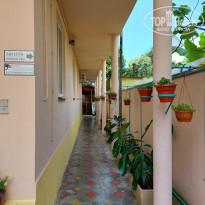 фото из отзыва ID 2283559